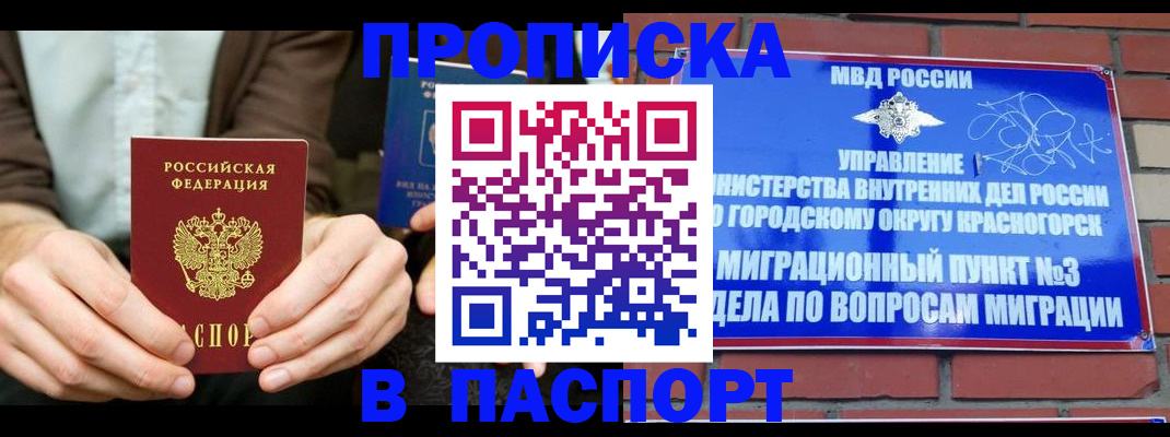 где прописаться в Волоколамске
